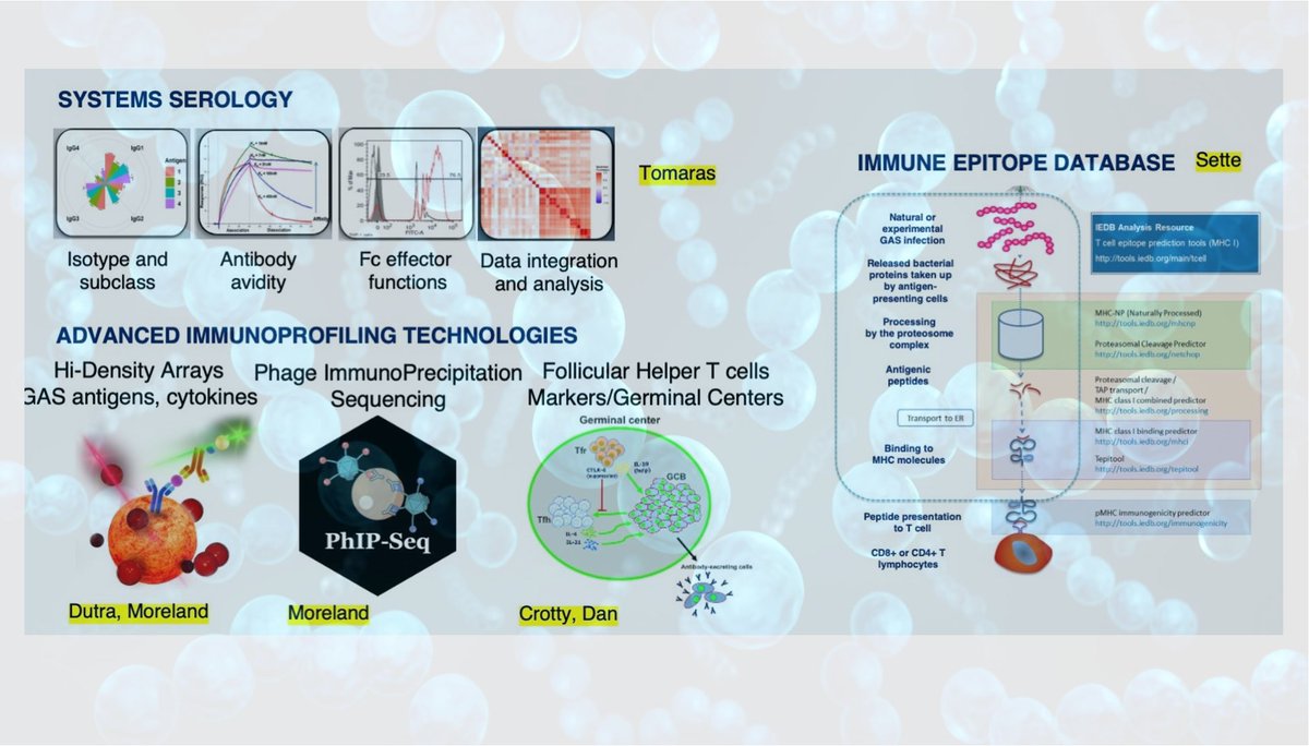 victornizet's tweet photo. Proud to coordinate the "EXPLORE" component (along Shiranee for "LIFE") of #iSpyNetwork envisioned by @FondationLeducq to bring "streptococcologists" and immunologists together to define correlates of immune protection in natural infection and a future life saving #StrepAVaccine https://t.co/Es6ssEdIwv