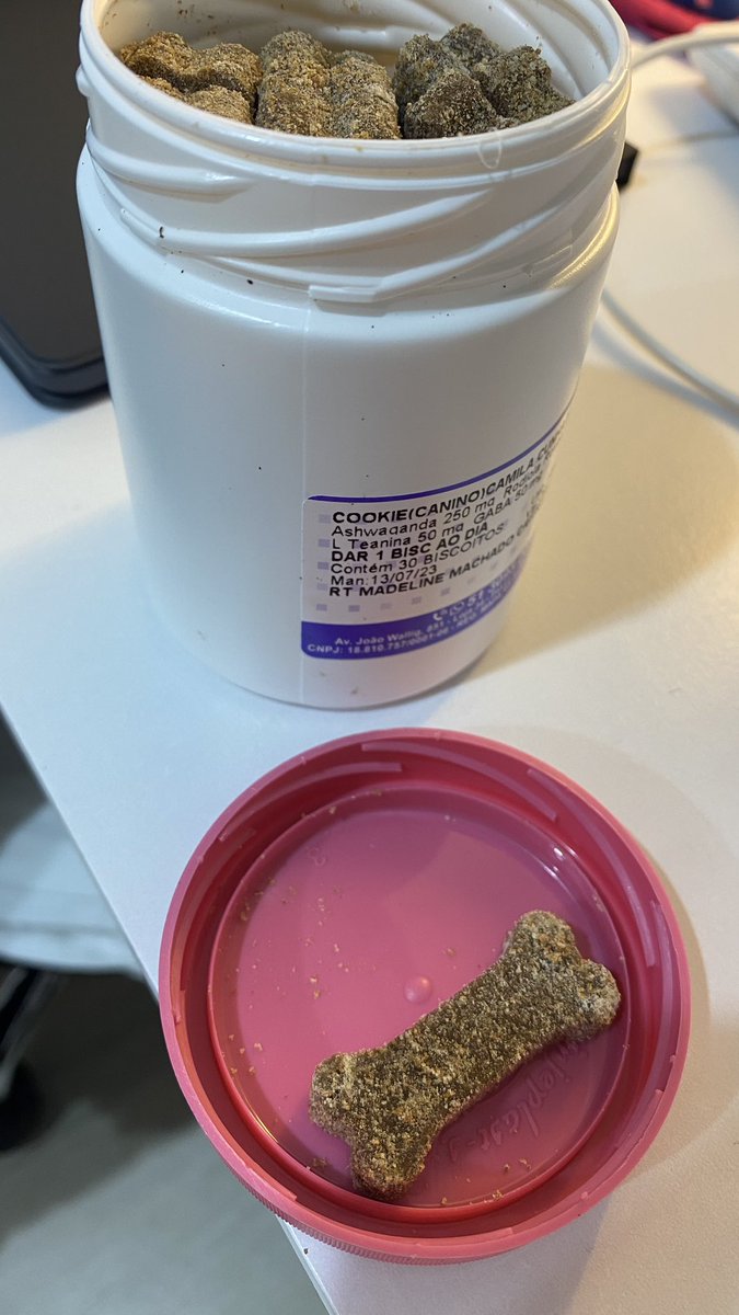 nada mais justo que o cookie colher os frutos do meu trabalho 🤓🐾