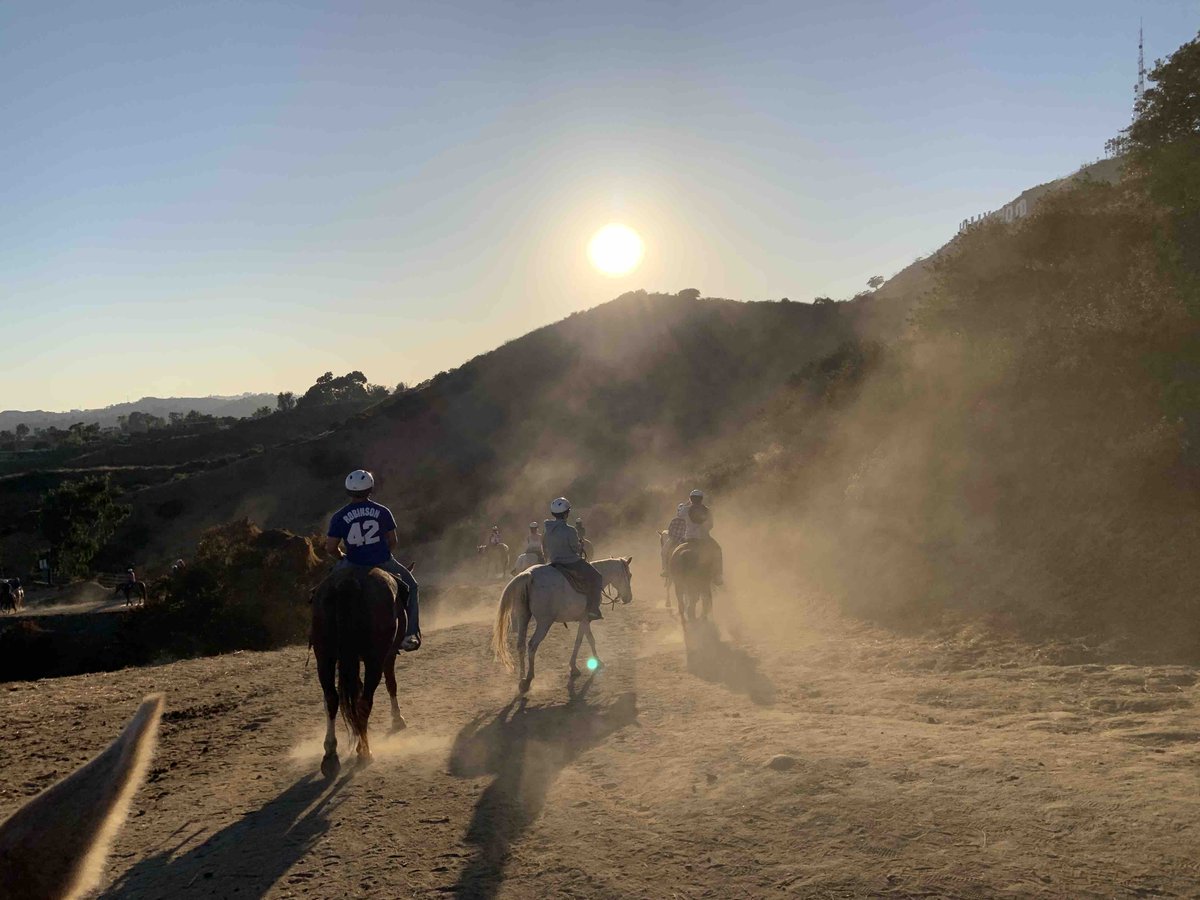 SunsetRanchLA's tweet image. It’s getting close to the weekend! Who has plans! Sunsetranchhollywood.com 
#sunsetranchhollywood #hollywood #happyhorses #hollywoodsign