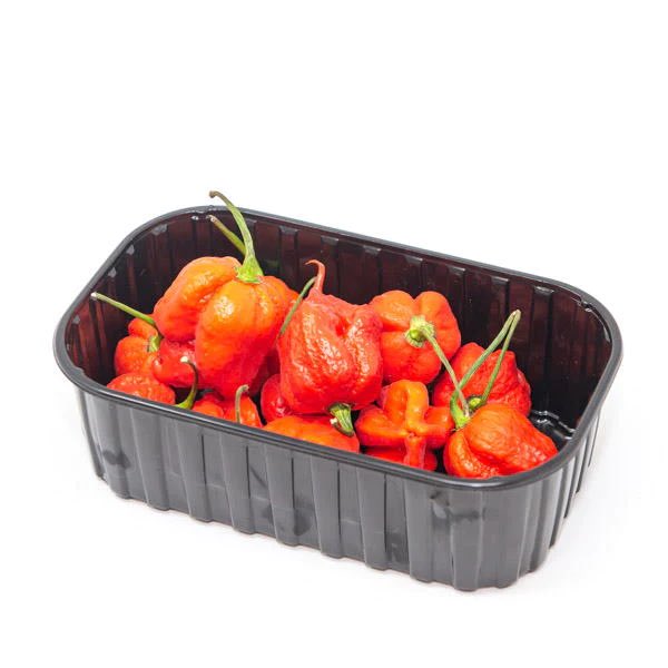 #ثريد | لقبه حاصد الأرواح 🏴‍☠️ 
اقوى أنواع الفلفل مُمكن تشوفه 🌶️ 

كارولاينا ريبر، المسمى اصلاً "HP22BNH7"، هو نوع فلفل حار من فصيلة كابسيكوم تشيننس وينتسب هذا الفلفل إلى تربية فلفل من نوع غوست بيبر 
(حامل لقب الفلفل الأشد حرارة سابقاً) 🔥
مع فلفل من نوع هابانيرو احمر