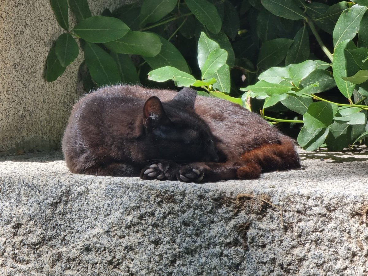 Stephen Willis tweet media