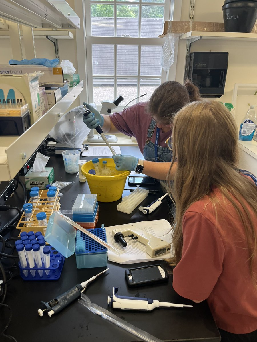 CSHLPlantSchool's tweet photo. TRAP and INTACT lab today with Profs Julia Bailey-Serres and Roger Deal, we managed to purify tagged nuclei and ribosome-associated RNAs! https://t.co/QSCGYeve47