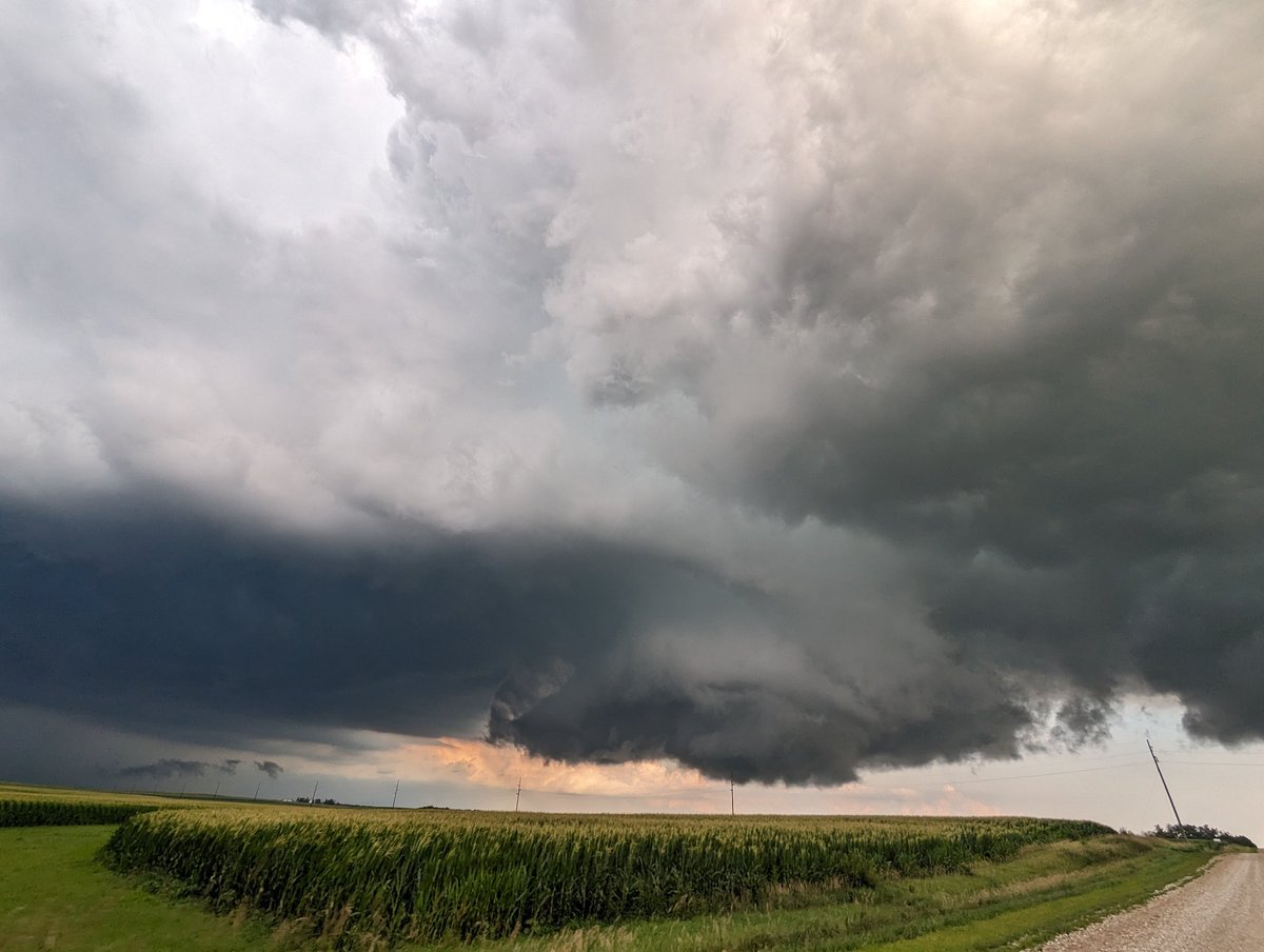 Hunte☈ Fowkes tweet media