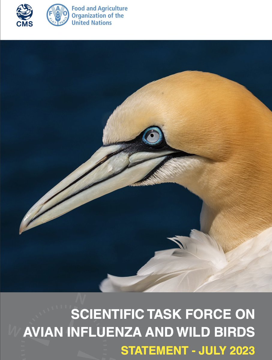 Amazing document compiled by the Scientific Task Force on Avian Influenza and Wild Birds statement on: H5N1 High pathogenicity avian influenza in wild birds - Unprecedented conservation impacts and urgent needs
👉cms.int/sites/default/…