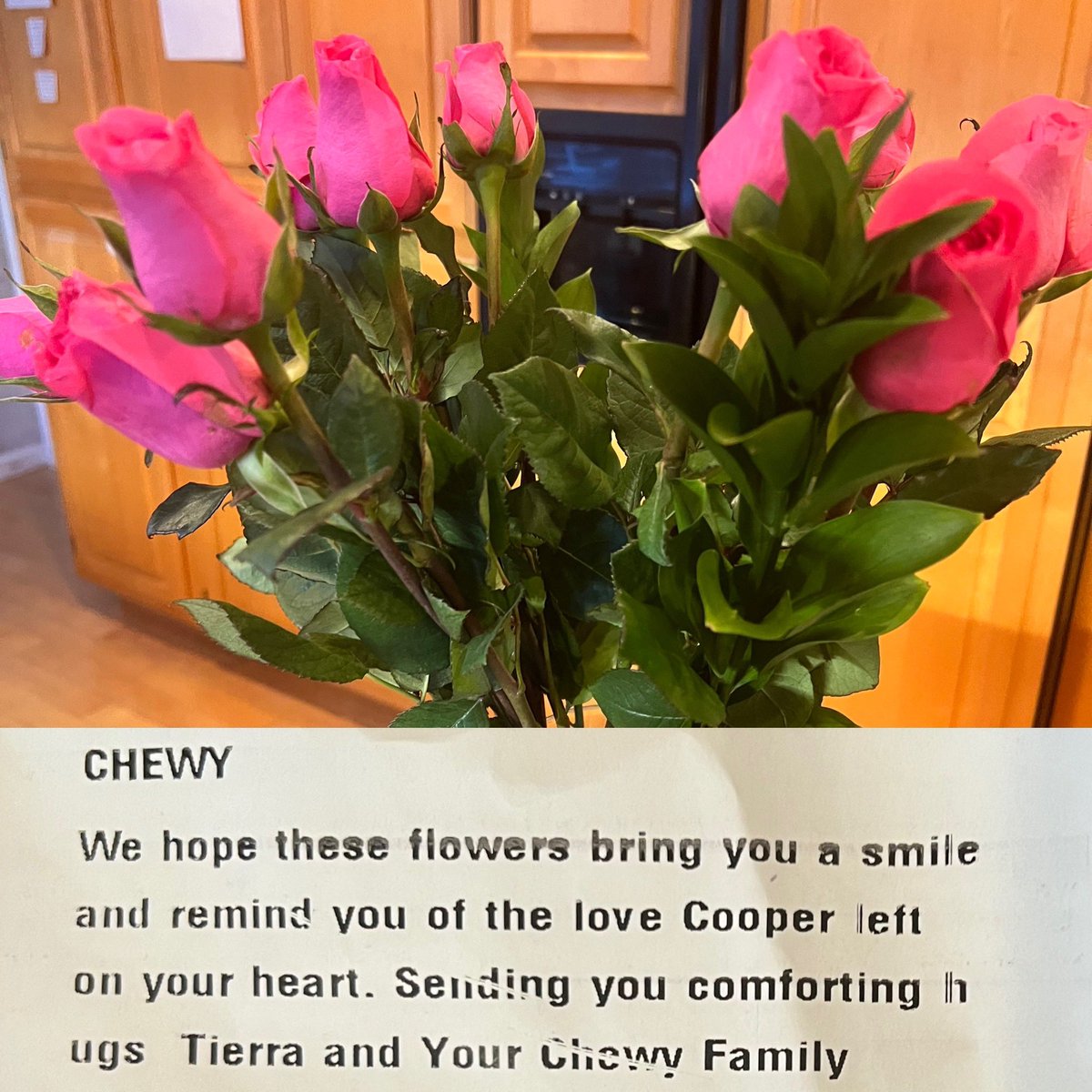 I don’t have enough words to thank Chewy.com These arrived today to celebrate the sweet memory of our Cooper. So beautiful💐 This company values and cares about its customers . Thank you for you kindness and compassion 💗