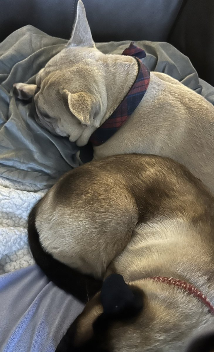 A miracle happened this evening.