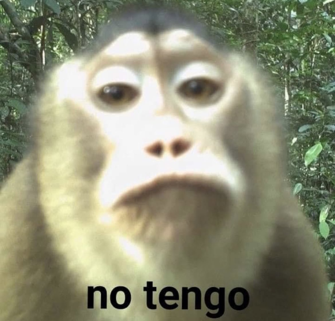 cornulda's tweet photo. - el profe: escriban 5 debilidades suyas

- yo con el ego en las nubes: https://t.co/kBWPq2DP5Z