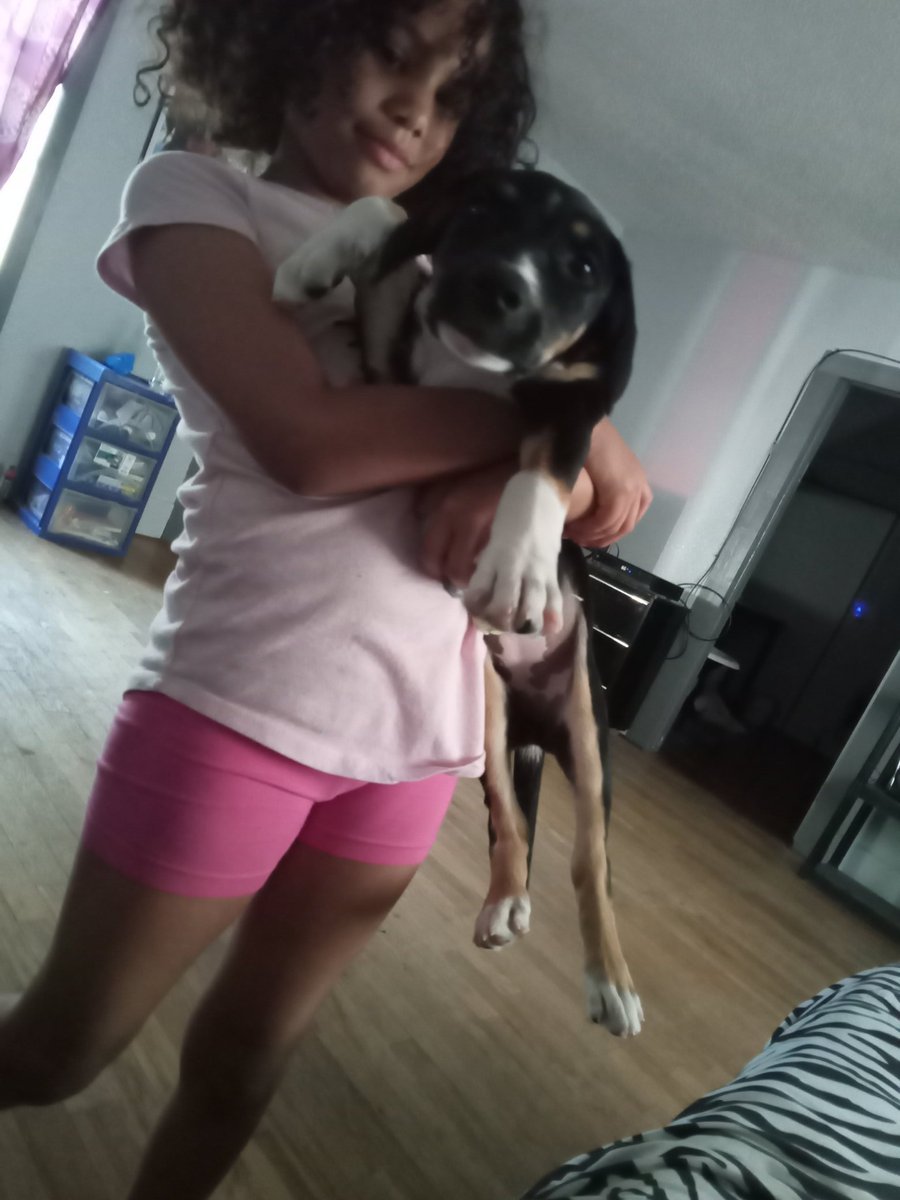 kim_mcbay's tweet photo. @Tiph1981 This is our Dog Pineapple she's a puppy https://t.co/pukE2WBSwo
