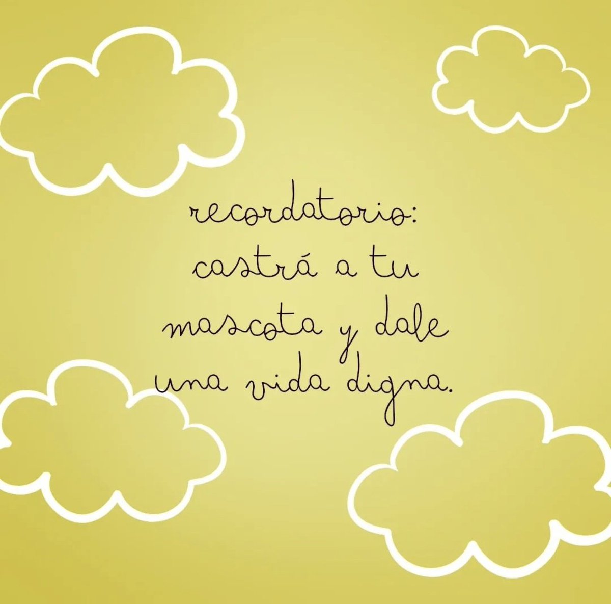 JulietaVernengo tweet picture