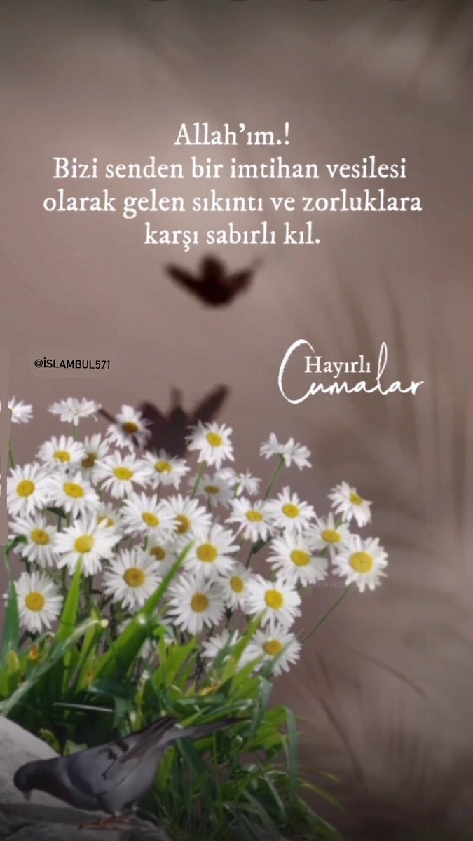 islambul571's tweet photo. https://t.co/Vi3zAnKhaB