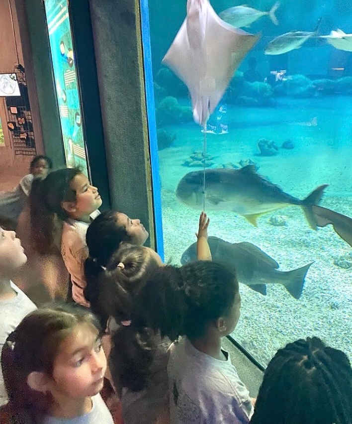 LWC Summer 2023 tweet media