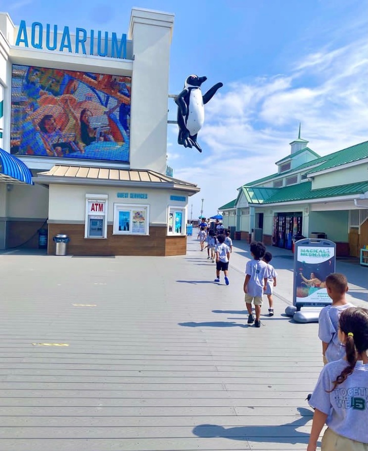 LWC Summer 2023 tweet media