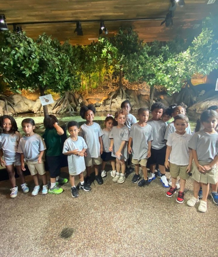 LWC Summer 2023 tweet media