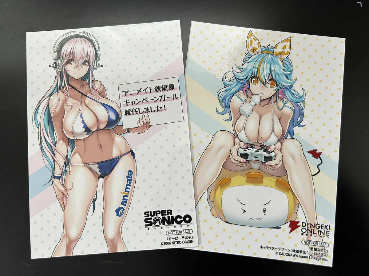 アニメイト秋葉原さんでは今日から「ネオン&すーぱーそに子 秋葉原キャンペーンガール化計画!」が始まります!お店のどこに2人が立ってるのか探してみてください☺️  #すーぱーそに子 #ネオン 