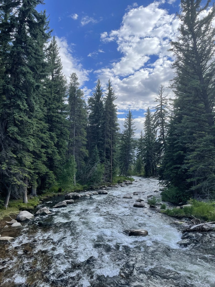 Rick Davis 🏃‍♂️🚴‍♂️🏊‍♂️ tweet media