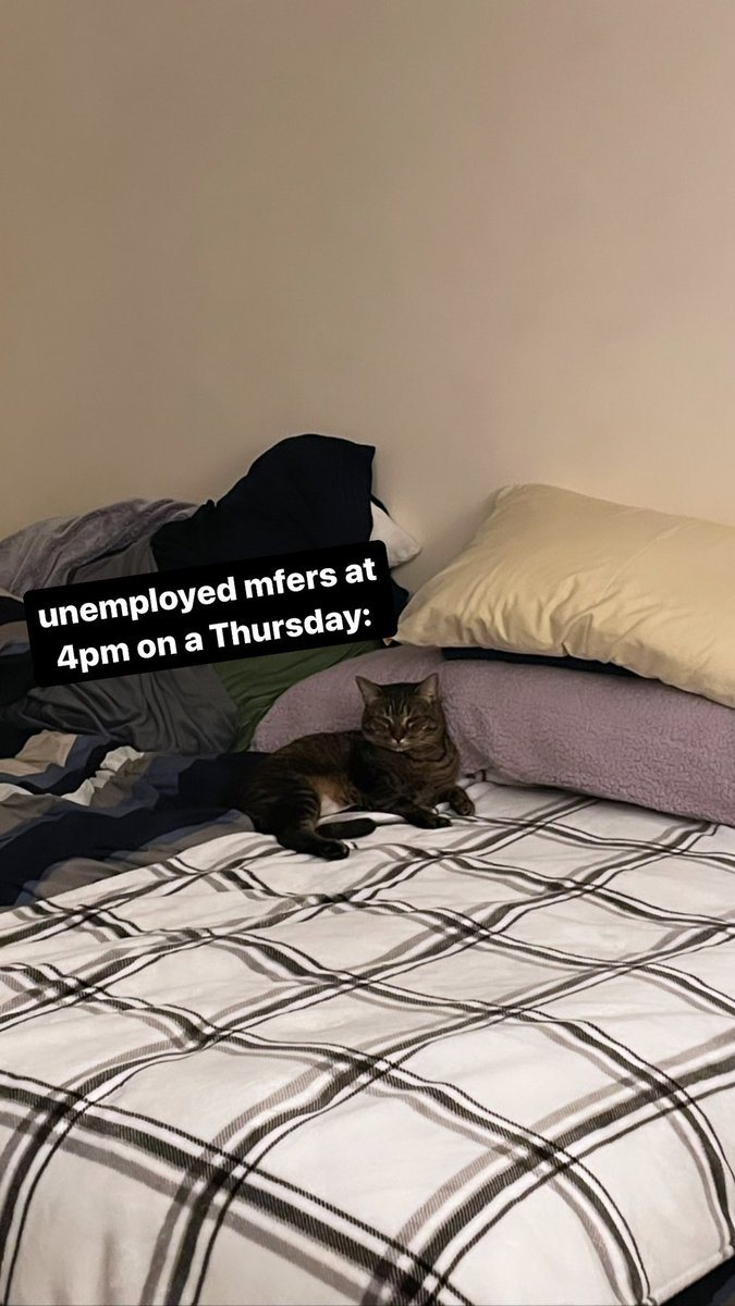 sads_in_plaids's tweet photo. coming home after another long day to see our squatter https://t.co/mbYZA9g5JK