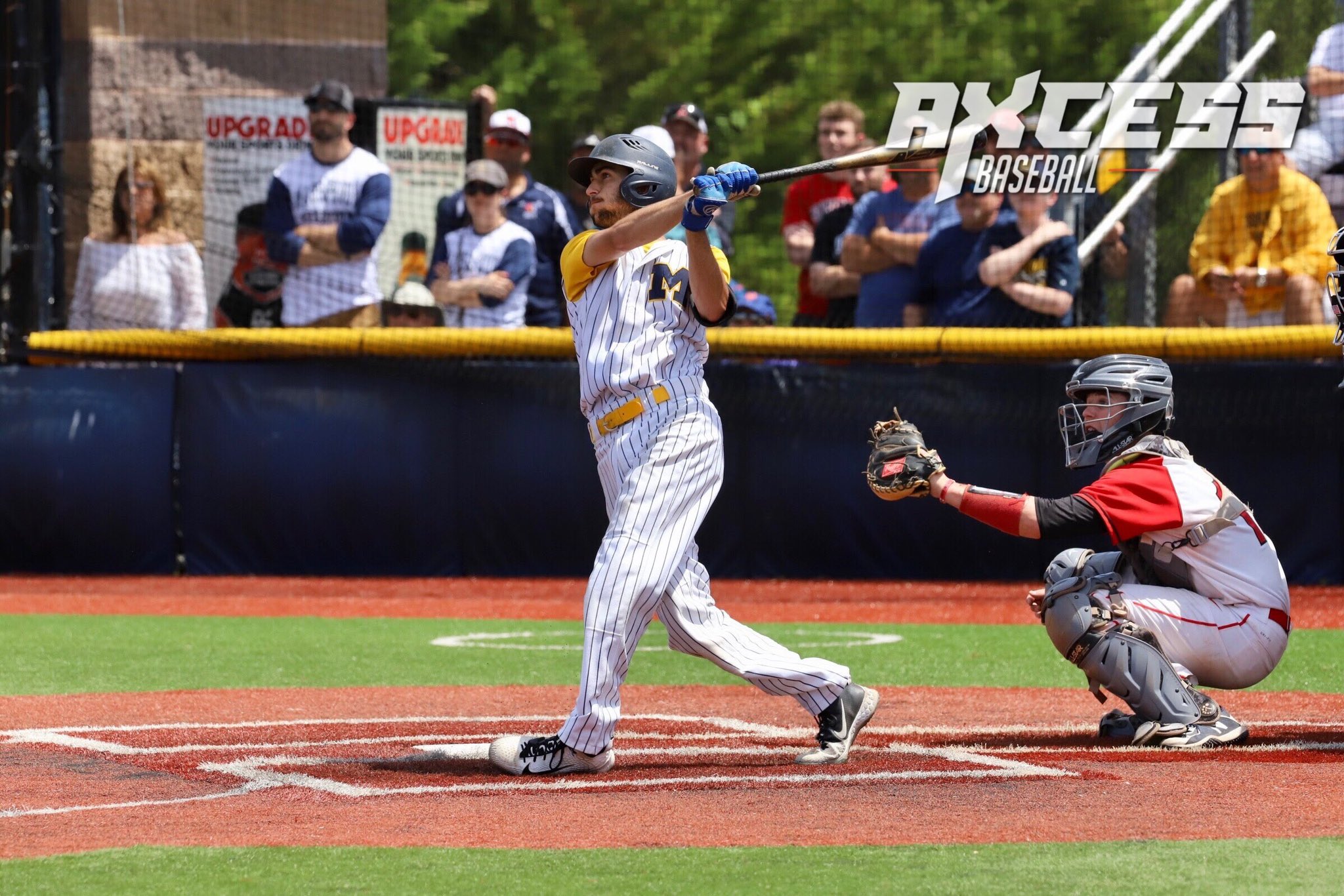 Axcess Baseball LI on Twitter "Nick Schwartz (Massapequa 2019) signs