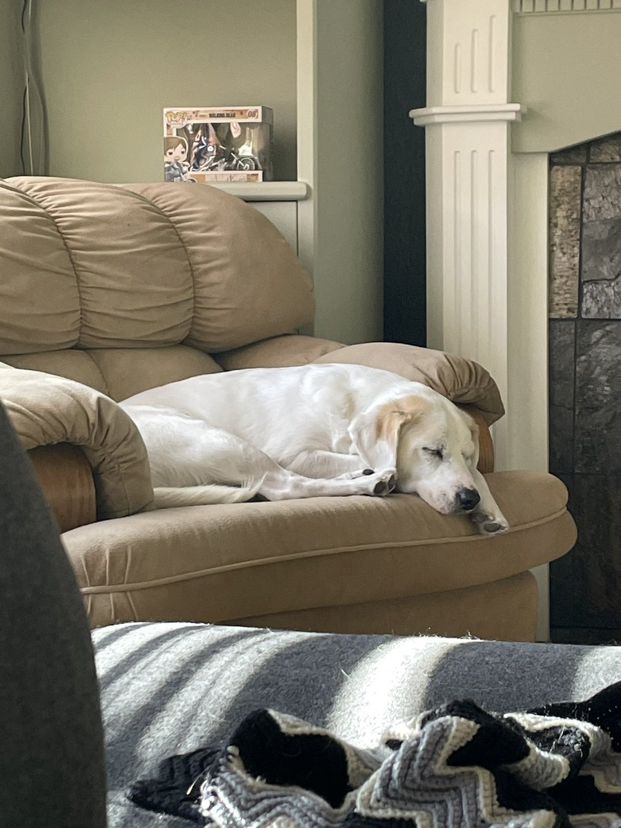 Warren Dean tweet media