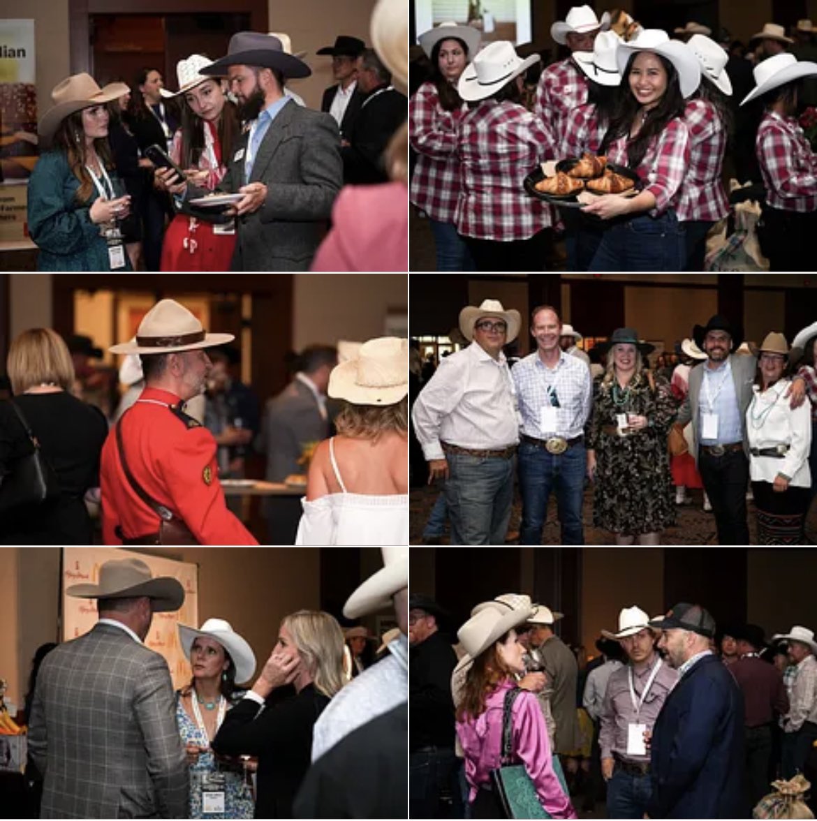 csagrifood's tweet photo. Thank you to @McDonaldsCanada for their support of Canadian π¨π¦ farmers and last nightβs #CalgaryStampede Agriculture & Agri-Food Reception πππ¦#CSIAC #StampedeAg https://t.co/pKwxtdYHRk