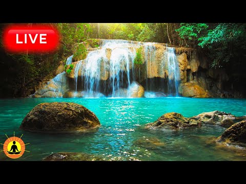 d74OzK3W0xpFmXq's tweet photo. 🔴 Relaxing Zen Music 24/7, Stress Relief Music, Sleep Music, Meditation Music, Study, Forest Sounds

https://t.co/YRPxgKUcX7 https://t.co/6qFHiXLJzR