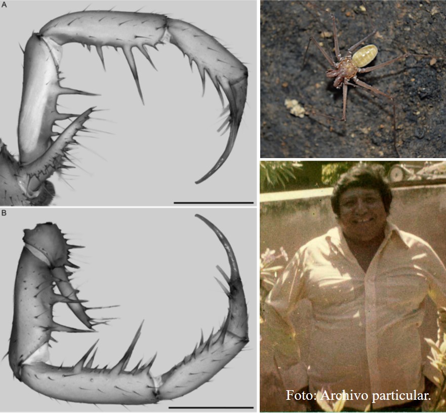 Novatax_Col tweet media