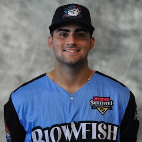 Blowfish Baseball tweet media