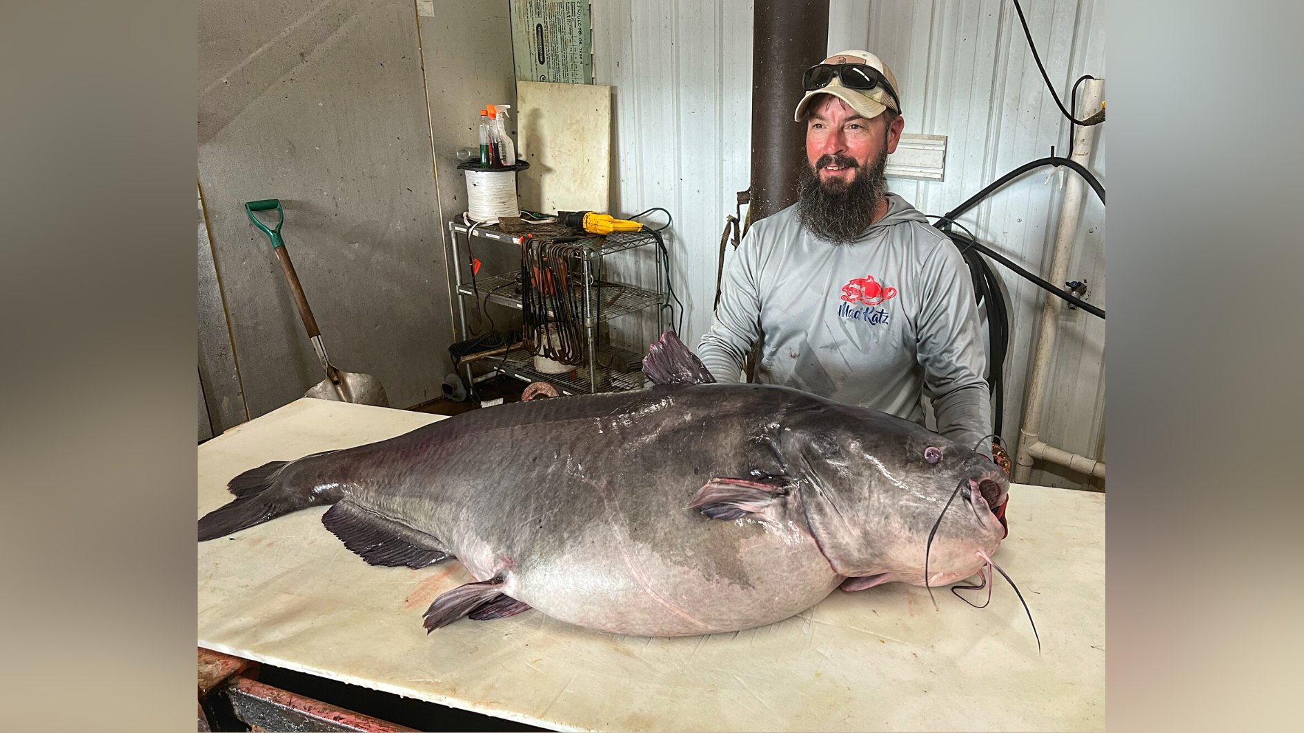 WAVE on Twitter "Man breaks his own state record by catching massive