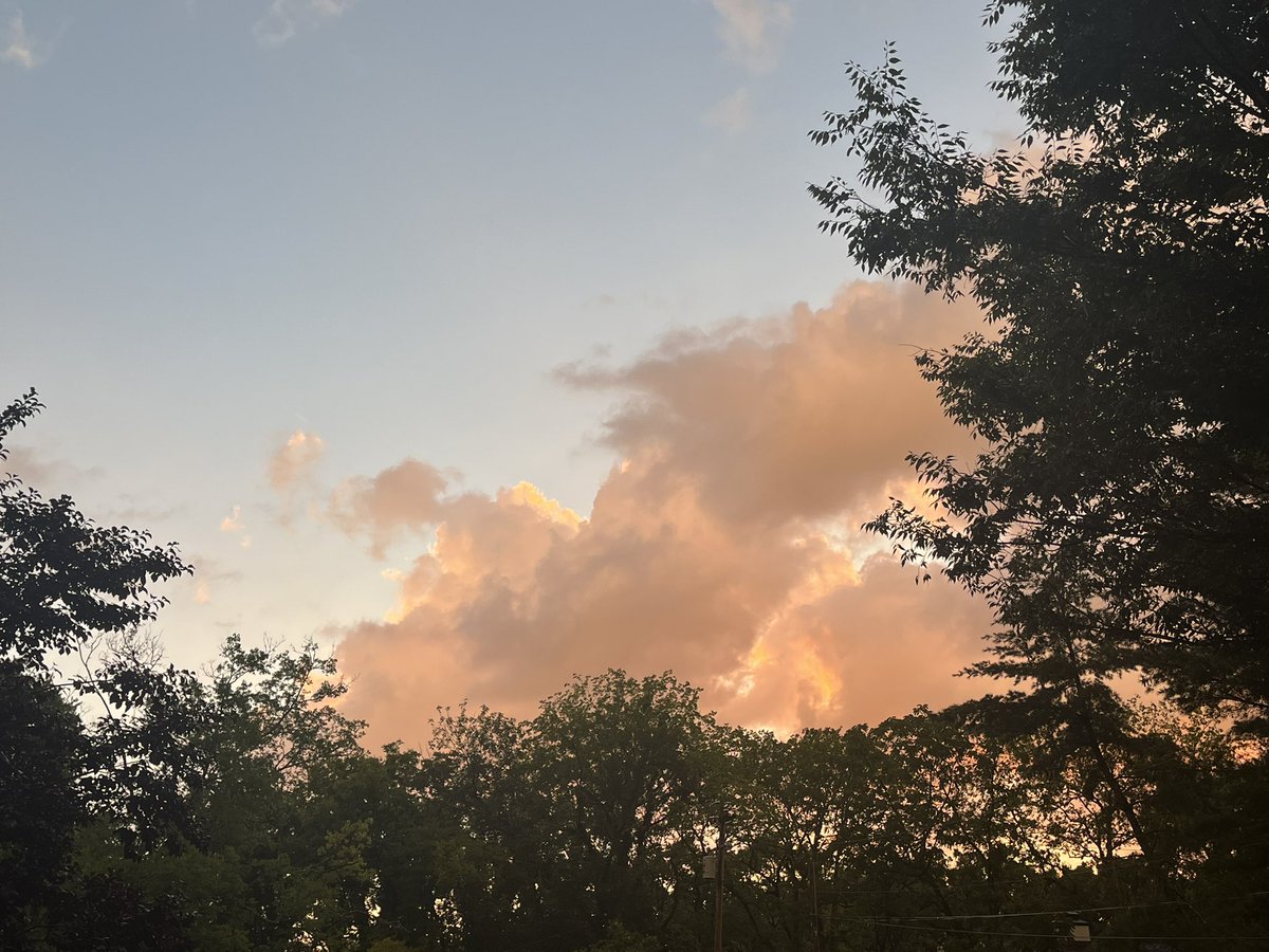 oomeowgee's tweet photo. @dizzyhyuck you should look outside rn https://t.co/vOyA8oey7x