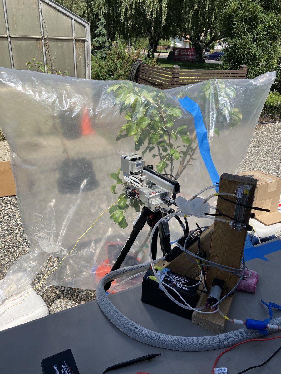 Repurposing the old 6400XT for some great things! Still running tests but we are close!