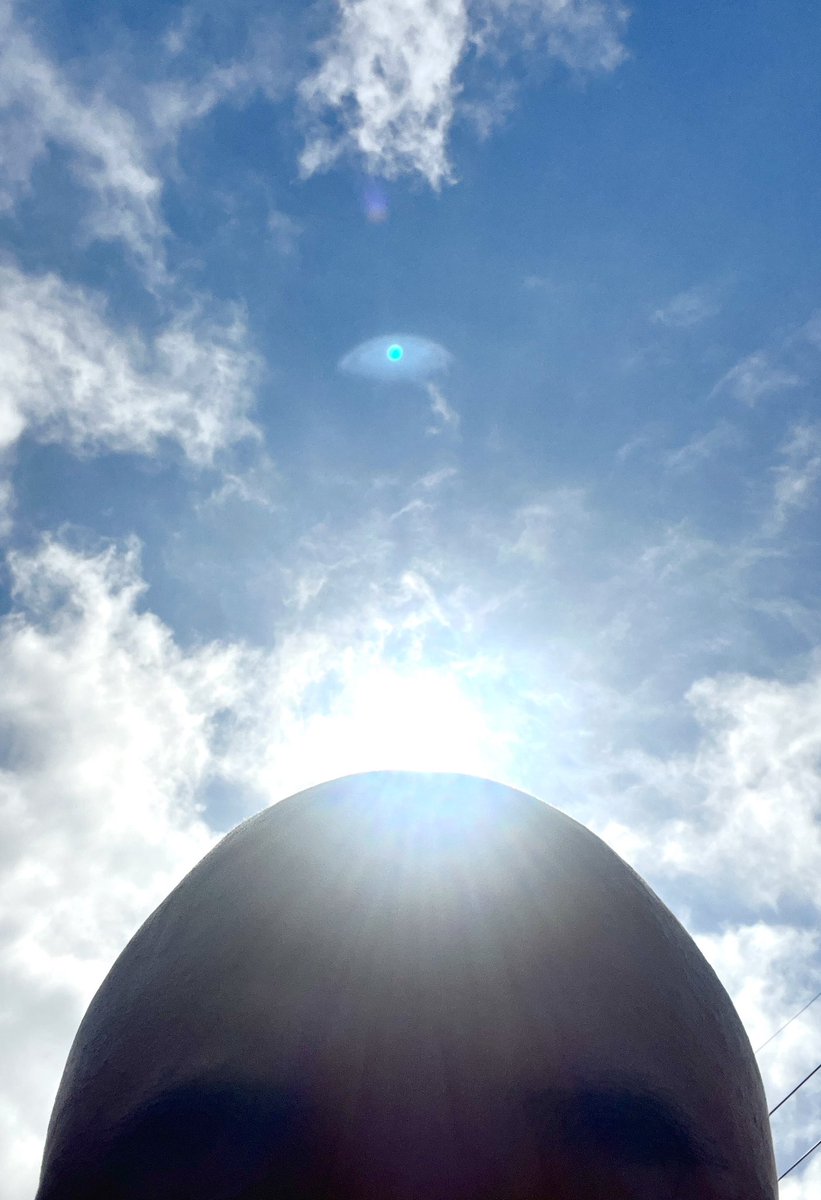 藤平@ペットの専門店コジマのツルピカドッグトレーナー 頭✨HEY‼️ tweet media