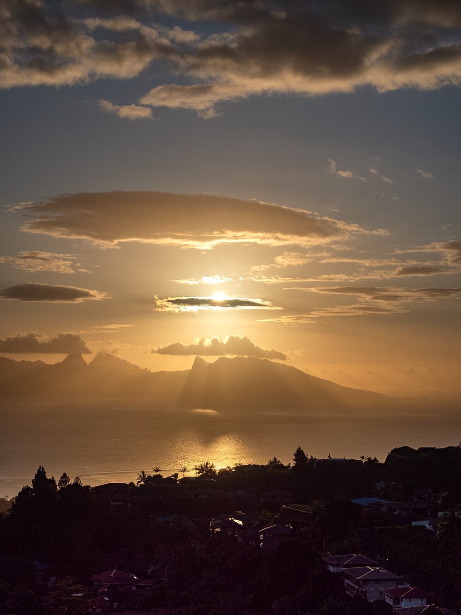 Devin Harrison tweet media