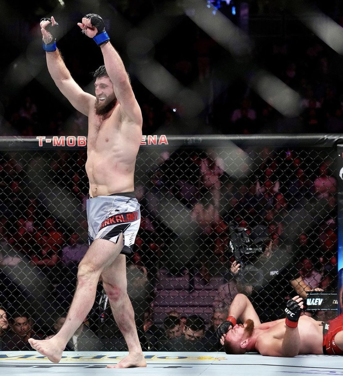 Mike's MMA Picks tweet media