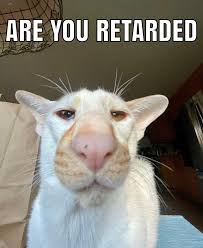 CodBO2_09's tweet photo. @JLJohnson45 @CameronF305 @omzStudio @HumansNoContext https://t.co/X5IpnmT6wA