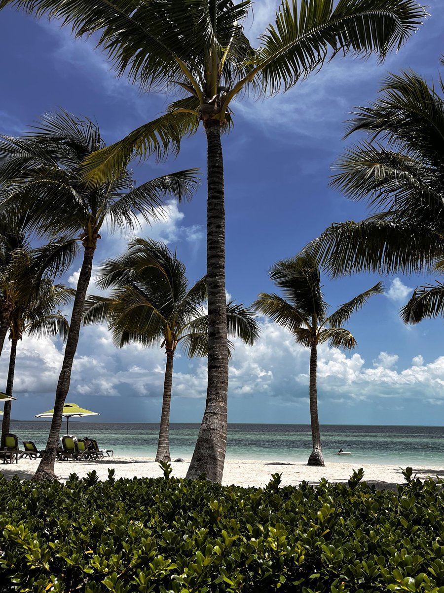 dfteach's tweet image. I've rested and I'm ready to go back! 🤪
What an absolutely amazing time. I still feel like it was a dream. I'm so grateful to be a part of this community of teachers. Thank you, @AlaneAdamsBooks for inviting me along on the journey.
#ImpactRetreat #Bahamas