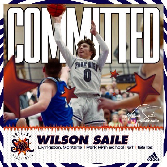 wilson saile tweet media