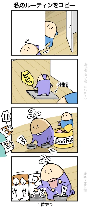 ボーヤのモーニングルーティン https://daruko.blog.jp/