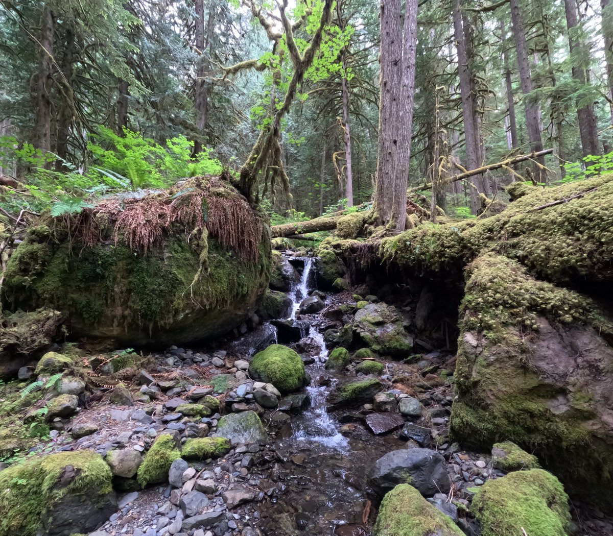 auston911's tweet photo. nature in the PNW. new youtueb videos all the time https://t.co/ClBRPJPLh7 https://t.co/N61o1fJ498