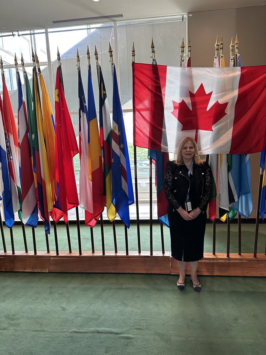 ILCCanada's tweet photo. @ilccanada President Margaret Gillis at the UN HLPF with other members of the Canadian Minister’s Delegation. #Can2030Agenda #HLPF #GoForThe Goals #SDG https://t.co/6N2itMNJjT
