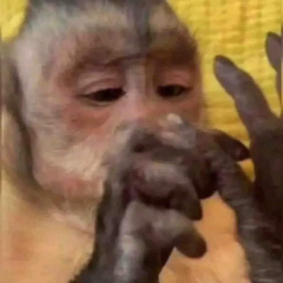 Yo en la ventana haciendo la que no escucho la  otra mitad del chisme para después contarselo a mi mamá porque ella está ocupada