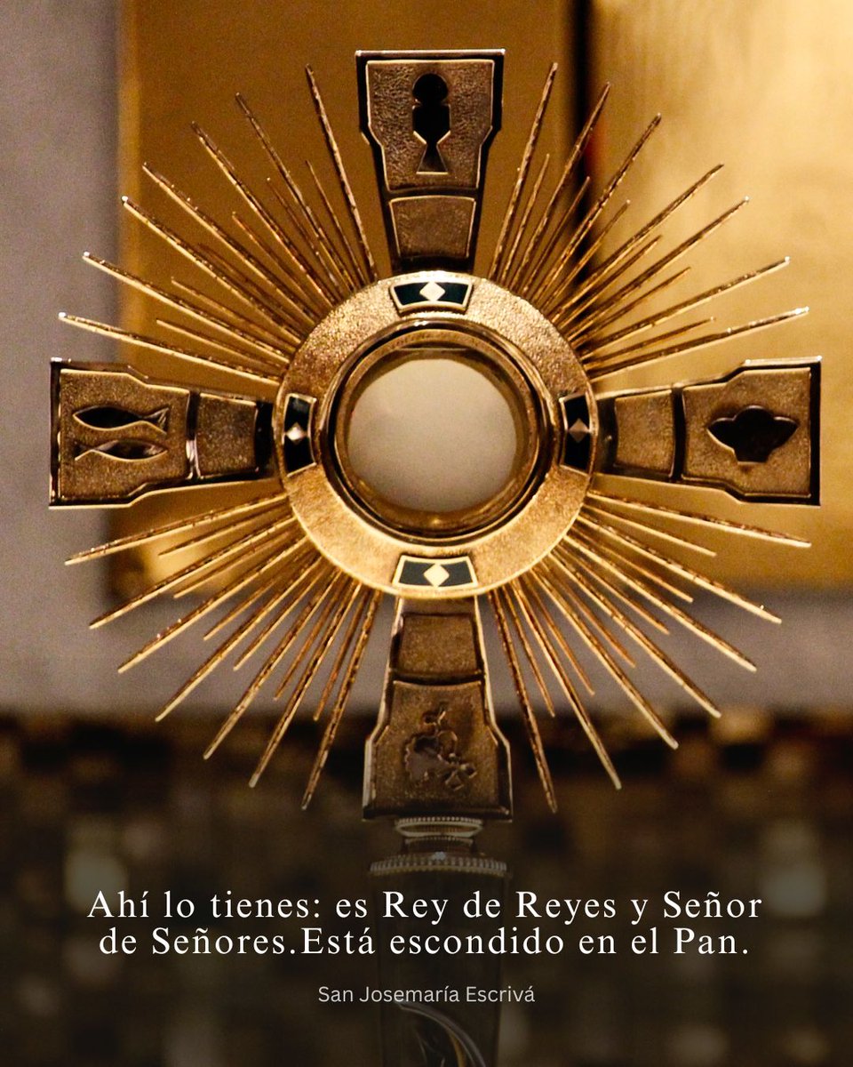 ChurchPOP_es's tweet photo. Es algo maravilloso el saber que estamos perfectamente unidos a través de la Eucaristía.❤️⁣
⁣
🙏¡Señor del Amor, de la cruz, presente en la Hostia consagrada, te doy gracias porque el día que moriste por mí en el madero santo y extendiste tus brazos abrazando la humanidad, mi nombre fue grabado en la cruz! ¡Señor, te veo en este pequeño trozo de pan y lloro de alegría, de esperanza, de gozo, me lleno de confianza y sé que el día que suba al cielo, si me invitas a entrar, no llevaré las cicatrices de la vida porque las únicas cicatrices serán las de tu cuerpo herido! ¡Gracias, Señor, porque me llamas por mi nombre, porque me amas en mi propia esencia, porque no me olvidas nunca, porque te preocupas de mí! ¡Gracias porque me llamas por mi nombre, porque me invitas a la misión, porque me pides que camine en tu nombre, porque me encomiendas la tarea de amar y servir al prójimo, de ser buena persona, de trabajar por tu Reino en esta tierra!.⁣