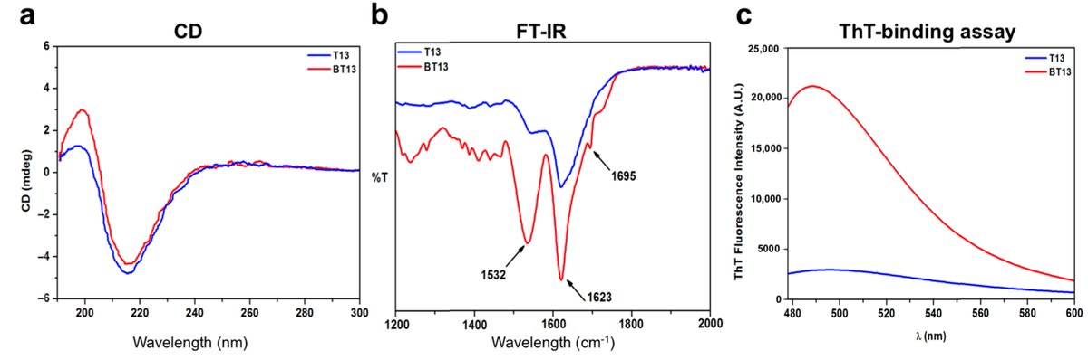 Biomed_MDPI's tweet image. #highcited  #biomedicines

Raffaele Pugliese et al. reported the #nanostructure and the hierarchical self-assembly propensity of a lupin-derived peptide belonging to the α-conglutin, through a biotin N-terminal tag.

shorturl.at/mSUV4