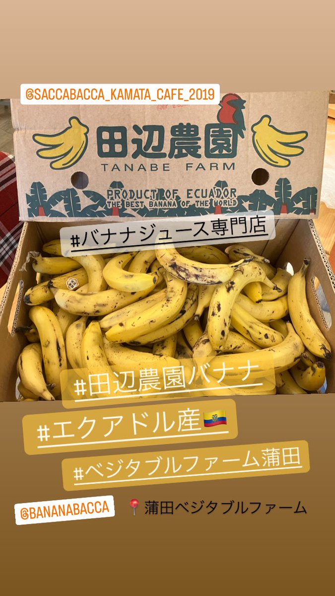 SaccaBacca_cafe's tweet photo. #蒲田  #バナナジュース専門店  #田辺農園  #ベジタブルファーム  #蒲田ベジタブルファーム https://t.co/kmVGP1prsq
