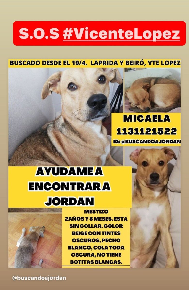 Clara1401's tweet photo. @Lo_Mauro RT POR FAVOR https://t.co/oRO65w59q9