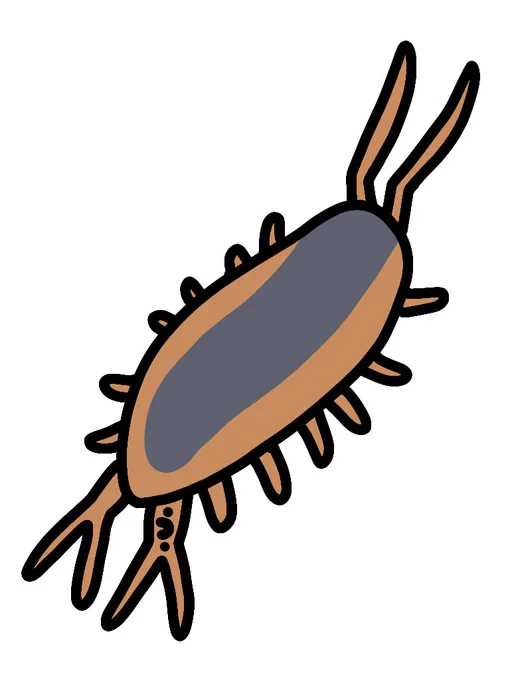 フナムシ