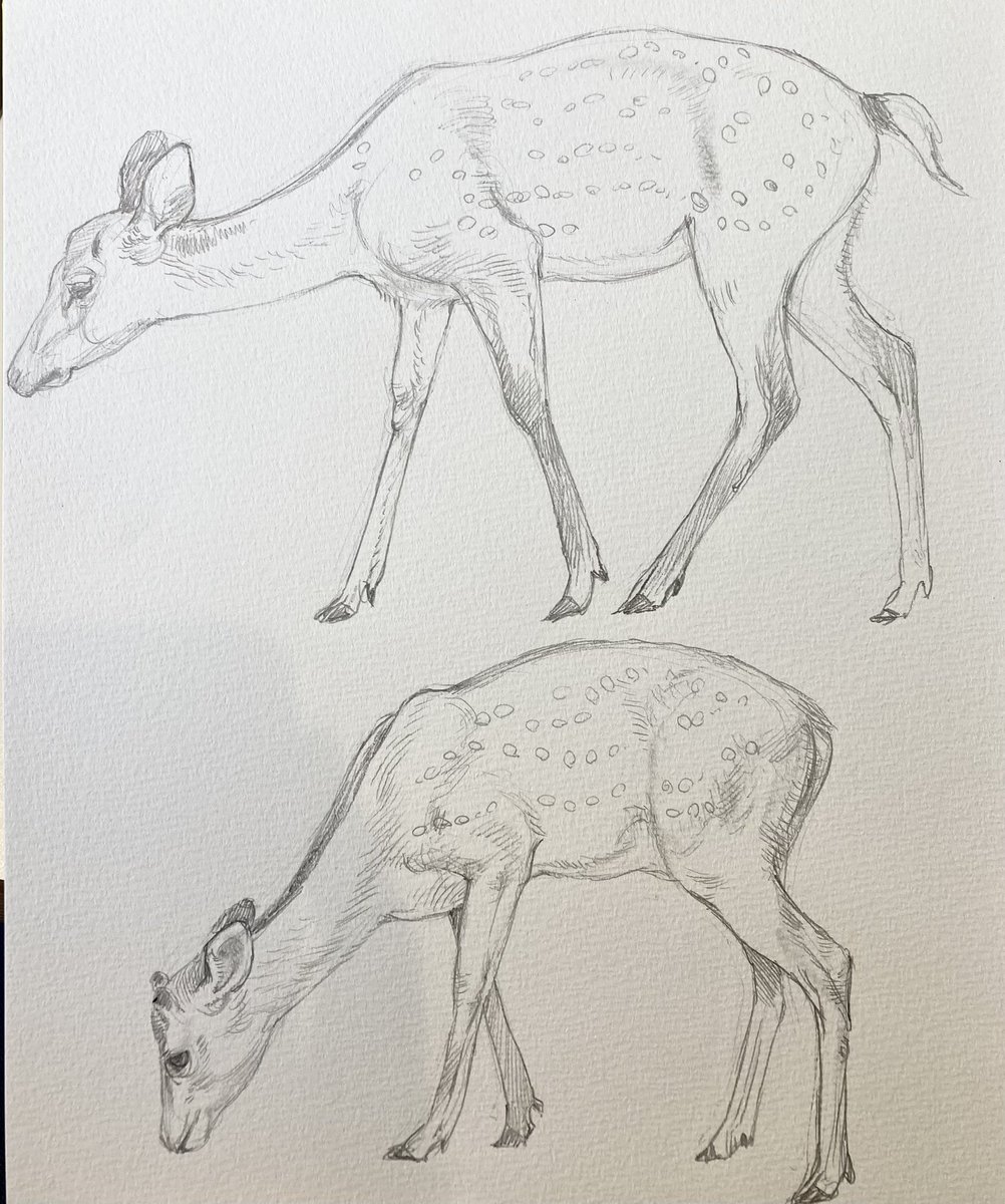鹿🦌ポイント+2 