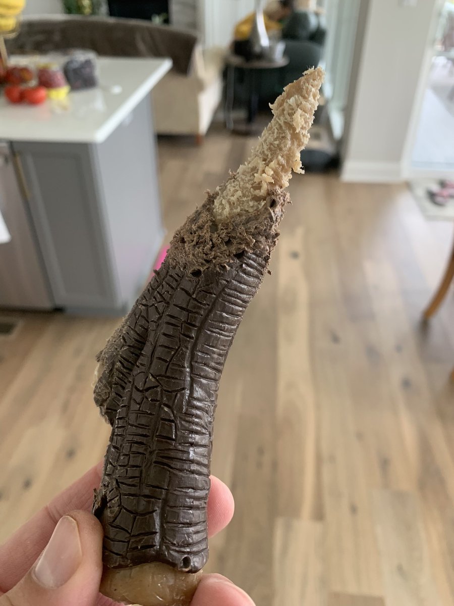 Our dog has chewed her bone into the shape of what appears to be a shiv.  Not sure if this was intentional.