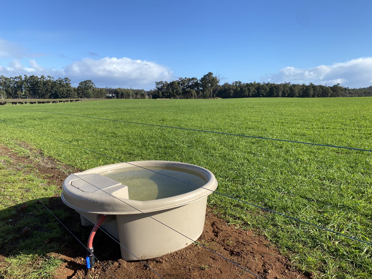 Jamie Nicolaou tweet media