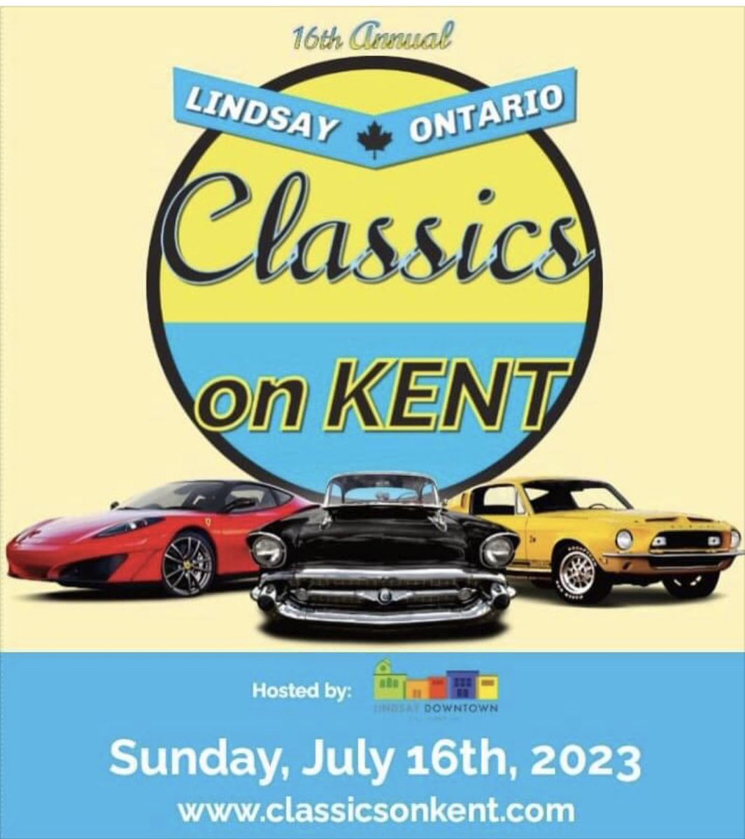 Wendy Woof-Severn (@wwsevern) on Twitter photo 