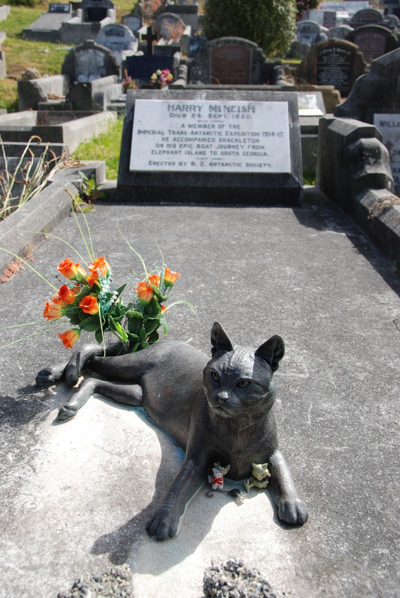 morghanq's tweet photo. Planning an imperial trans-Wellington expedition to visit the Mrs Chippy memorial https://t.co/ZNL8Ko6Pij