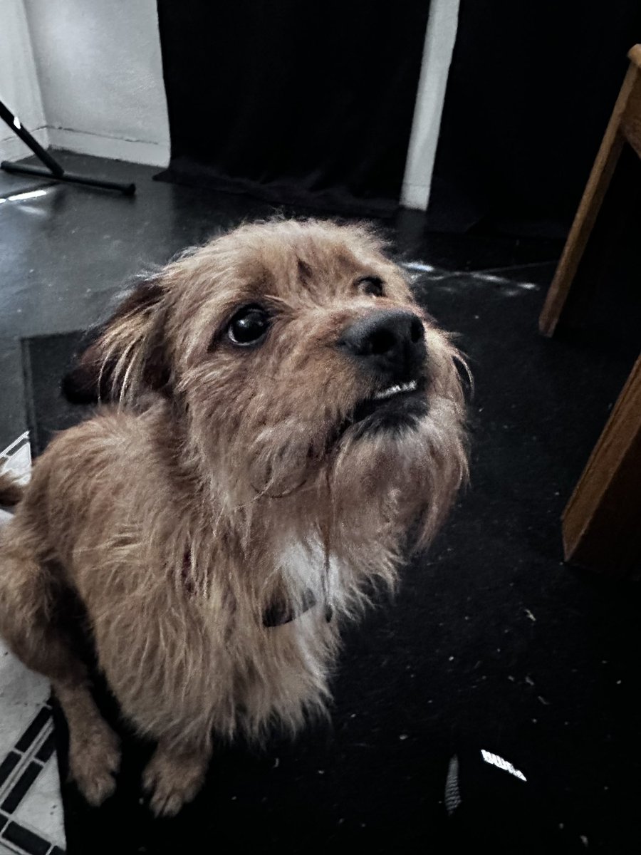 java257's tweet photo. @PuebloPolice1 Please help bring my boy home! @PuebloPolice1 https://t.co/t3QuWfSdi6